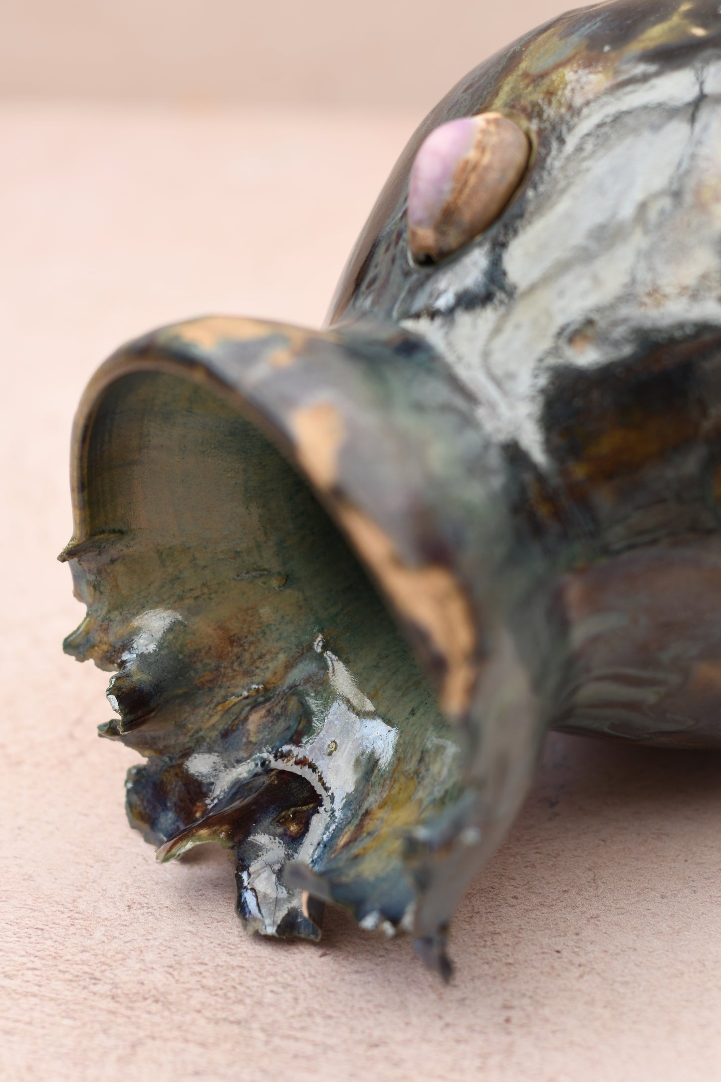 Arqueología de un hallazgo 8