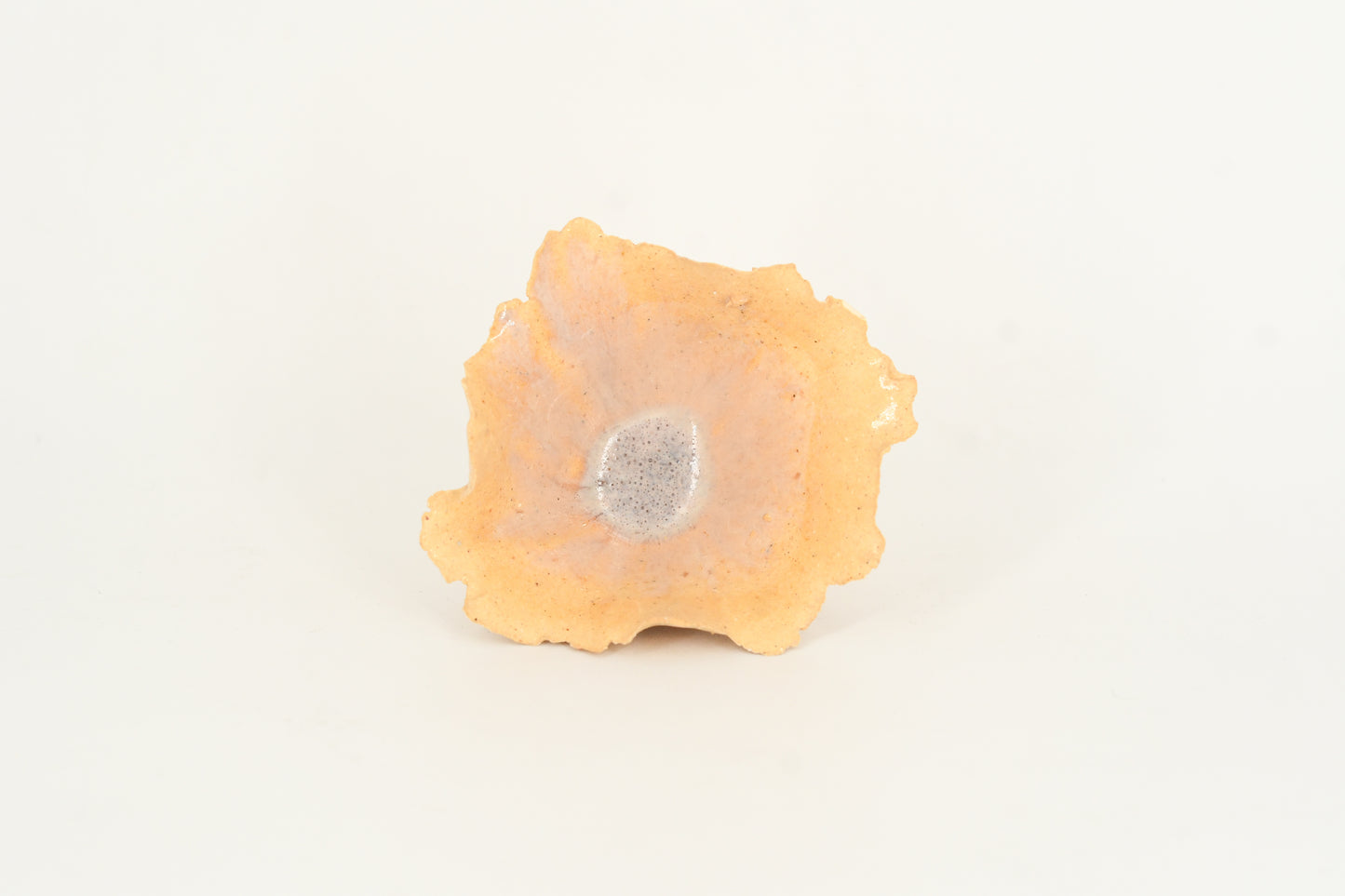 Esmalte cerámico "Corteza de jurema"