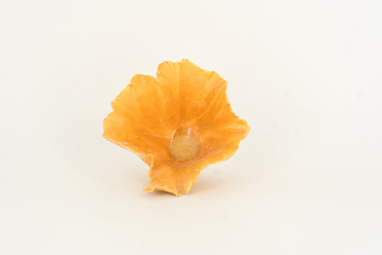 Esmalte cerámico "Amarillo Ciervo"