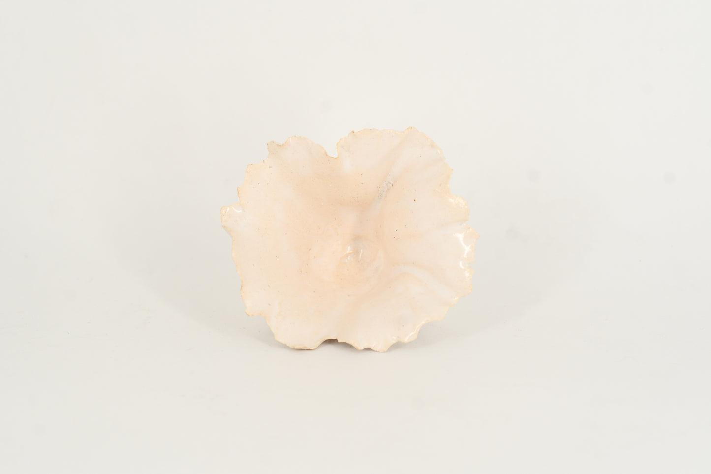 Esmalte cerámico "Blanco"